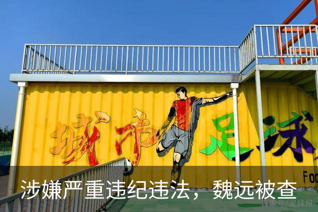 涉嫌严重违纪违法，魏远被查